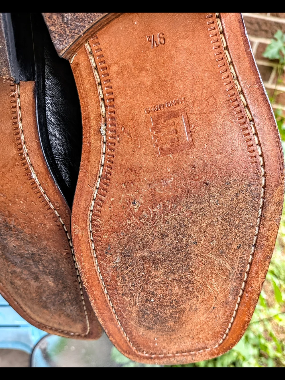 David Eden Men's Exotic 